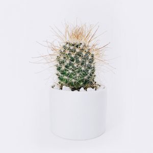 Products  Reflector